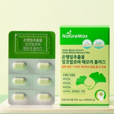 네이처맥스 은행잎추출물 징코빌로바 메모리 플러스 2개월분