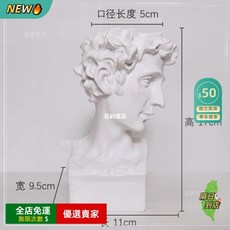 復古頭像花瓶琴女阿波羅雕像花插，客廳乾花擺件，藝術裝飾創意家居美學, 17cm小衛花瓶