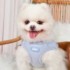 올치 마카롱 하네스, 스카이블루, 1개