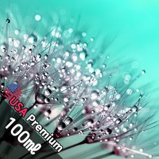 C015 오데썽 100ml (Eau Ees Sens) 프래그런스오일 캔들 디퓨저 향수, 1개