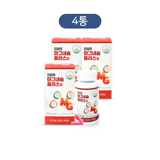 진정주 마그네슘 플러스정(60정), 60정, 4개