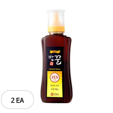 지리산한봉영농조합 국내산 밤꿀, 500g, 2개