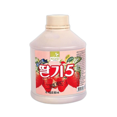 [2개묶음] 딸기 원액 850ml 차그림 딸기원액 1EA sp0+213Ys, 1개