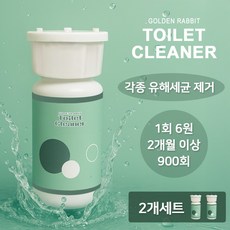 골든래빗 자동 변기세정제 대용량, 2개, 300ml