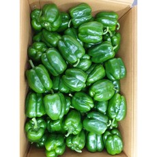 피망 청피망 1kg, 1개