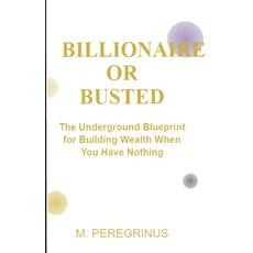 (영문도서)Billionaire or busted: The Underground Blueprint for Building Wealth When You Ha... Paperback, Independently Published, English, 9798298397667
