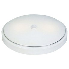 感應王 CY-572A-Y 30W紅外線感應吸頂燈(黃光-全電壓-銀邊), 1個