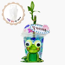 개구리 개운죽 화분 만들기 gum*28199RO, 1개