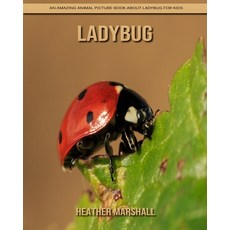 Ladybug: An Amazing Animal Picture Book about Ladybug for Kids Paperback, Independently Published