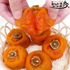 천년고수 상주곶감 반건시 10과(60g~65g/600g), 600g, 1세트
