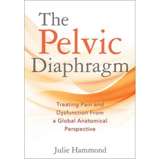 (영문도서)The Pelvic Diaphragm: Treating Pain and Dysfunction from a Global Anatomical Per... Paperback, Lotus Books, English, 9781718254572