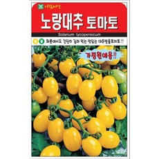 노랑대추토마토 씨앗 토마토 씨 종자, 2개