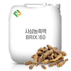 사삼농축액 60Brix 200g 샘플, 1개