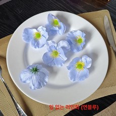 이자카야 인조 일식 원형 초밥 접시 사시미 벚꽃나무, 잎 없는 뷰티풀 플라워 10송이