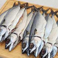 다대포 가정용 자반 고등어 비닐벌크포장, 1개, 10미(중/대)