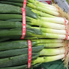 [청정지역] 국내산 아삭한 손질 대파 1단(2kg내외), 1개, 2kg