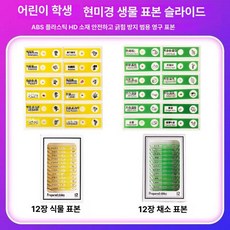 프레파라트 48종 표본 실험도구 식물 현미경 체험, 24장 야채 B, 기본 색상