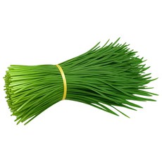 [맛통령] 국내산 싱싱한 부추, 1kg, 1개