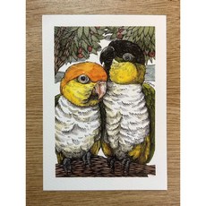 凱克鸚鵡明信片 鸚鵡小木屋寧子設計款 高品質紙張 祝福心意 收藏佳品, 1個