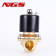 상시 폐쇄 황동 전기 솔레노이드 밸브 물 오일 1/4 인치3/8인치 인치DN8 2W, 04 DC12V, 09 2W250 25(DN25)