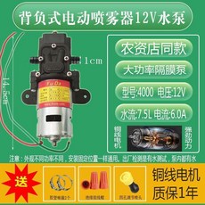 農用電動噴霧器水泵 12V 隔膜泵 打藥機 高壓大功率泵, 1個, 福達特大功率噴霧水泵+銅電機+配件
