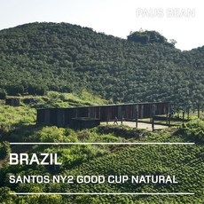 생두대빵 브라질 산토스 NY2 굿컵 생두, 1개, 500g