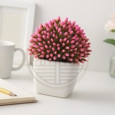 가짜화분 다육이 인테리어 소품 빠른배송 가드닝소품 소형식물 벽장식