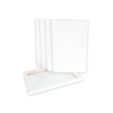 金羽毛 小尺寸畫布 20x30cm 畫板 繪畫 холст 帆布, 10個, 2030號, 詳見包裝