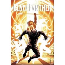 Black Panther: A Nation Under Our Feet Book 2, Marvel Comics