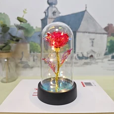 여자를위한 LED 빛의 영원한 장미와 인공 유리 꽃 아름다움과 야수 생일 선물 크리스마스, 03 Red-Warm lamp, 1개