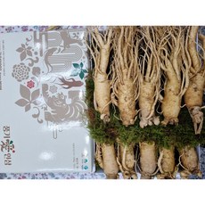 현대만석 6년근 최상품 정품 1kg(10뿌리내외) 인삼선물세트 수삼 이바지 상견례 추석 설명절 건강, 1.005kg, 1박스