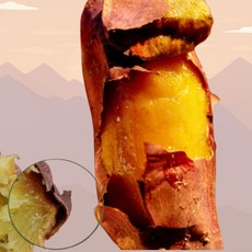 전남 무안 해풍맞은 황토밭 꿀 달수고구마 맛보기 2kg, 한입, 1개