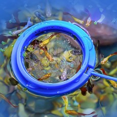 그코 관상용 물고기 피딩틀 구피밥주기