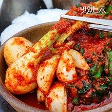 호랑이김치 더 아삭해진 국산 양파줄기김치, 1개