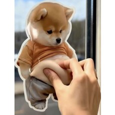 시바견 뱃살 스티커 슬랑이 말랑이, 3쌍 세트