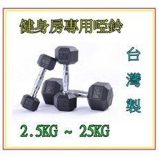 六角啞鈴 居家健身重訓器材 防滾動設計 提升肌肉力量與耐力, 2個, 啞鈴