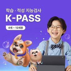 아동 재능발굴 맞춤형 학습 적성 지능검사 K-PASS 케이패스, 구매일로부터 7일 이내