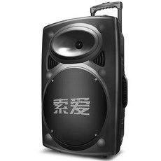 15吋戶外音響 藍牙 便攜式低音炮 支援USB/SD卡 廣場舞音響, 15英吋, 無話筒【標配】