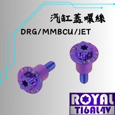 ROYAL鈦合金螺絲 M6*28 P:1.0 DRG/SL缸蓋螺絲 雪花頭 64鈦/鈦合金 出貨附發票 幻彩藍, 1個