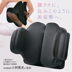 BODY KARTE 腰樂座サポートプレート 美姿座椅靠墊