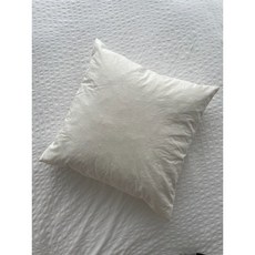 IKEA FJÄDRAR 靠枕心, 1個