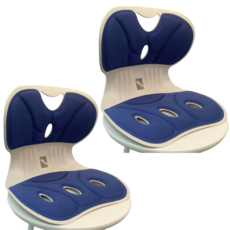 Mirsh [ 1+1 ] 바른자세 등받이 허리보호 자세보정 의자, 블루