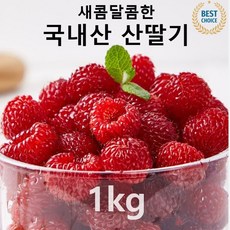 [반짝 20% 할인!] 프리미엄 세콤 달콤한 국내산 냉동 산딸기, 1박스, 급냉 산딸기 500g 2봉