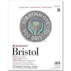 Strathmore (580-62 500 시리즈 브리스톨 2겹 밸럼 표면 27.9 x 35.6cm(11 14인치) 화이트 15장, Strathmore (580-62 500 시리즈 브리스