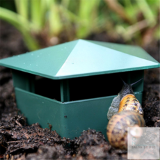 살롱드버스 달팽이집 애완용달팽이집