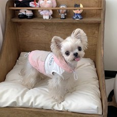 반려견 여름 쿨링 스포티 쿨링 아웃도어 메쉬 나시, 1개, 분홍색