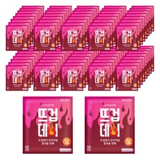알뜰공식 뜨겁데이 휴대용 흔드는 핫팩 45g, 10개