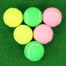 테니스 공 6팩 고탄성 연습 메시 백 포함 초보자에게 이상적 애완견을 위한 운동 놀이 공 멀티컬러 122499, 다양한 색상