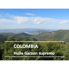 어라운드트레이딩 콜롬비아 후일라 수프리모 생두, 1개, 1kg