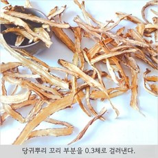 당귀 건조 중국 민현산, 당귀뿌리 꼬리를 0.3체로 자른다